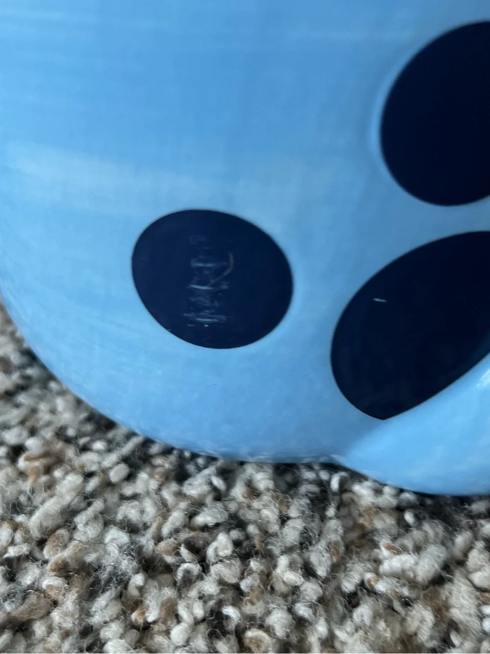 Bluey charming blue